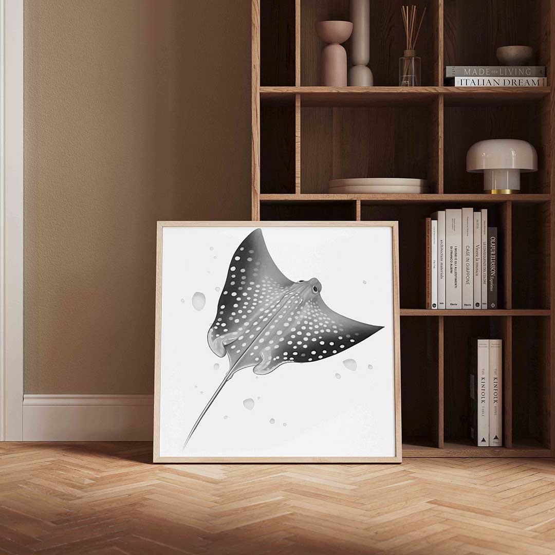 Pijlstaartrog Poster
