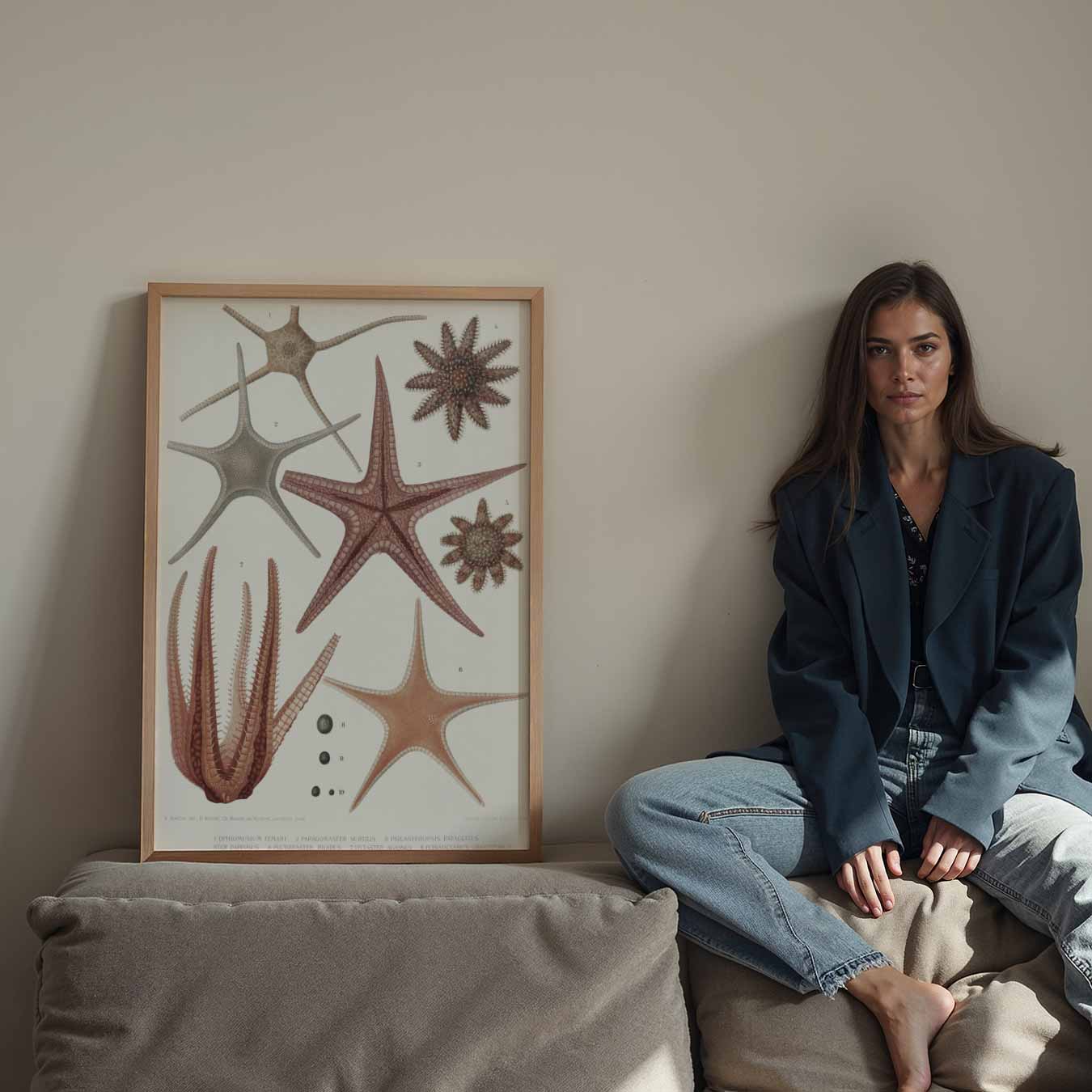 Vintage Zeesterren Illustratie Poster-WallArtistic