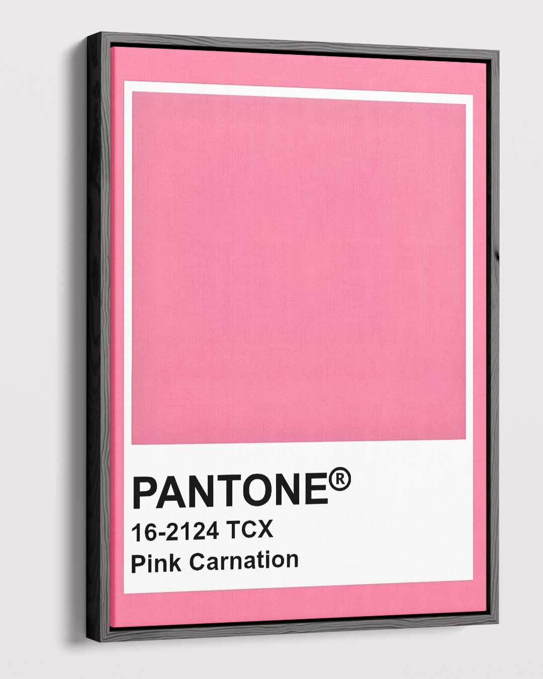 Roze Carnation Canvas Kunstwerk-canvas-dibond-plexiglas-wanddecoratie-WallArtistic