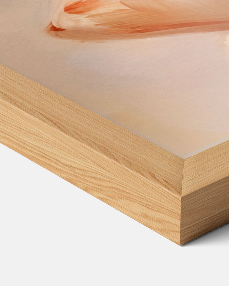 Elegant Schelpkunstwerk Poster-WallArtistic