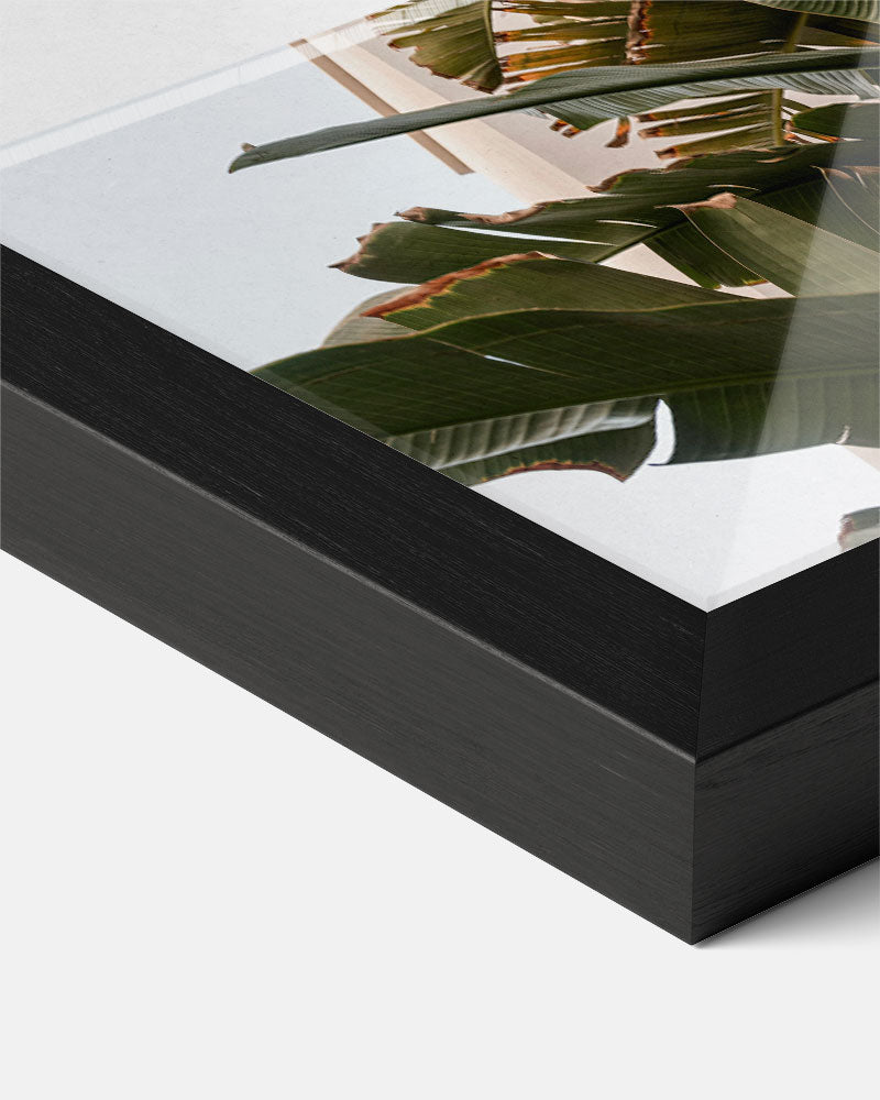 Tropical Jungle Bladeren Poster-WallArtistic
