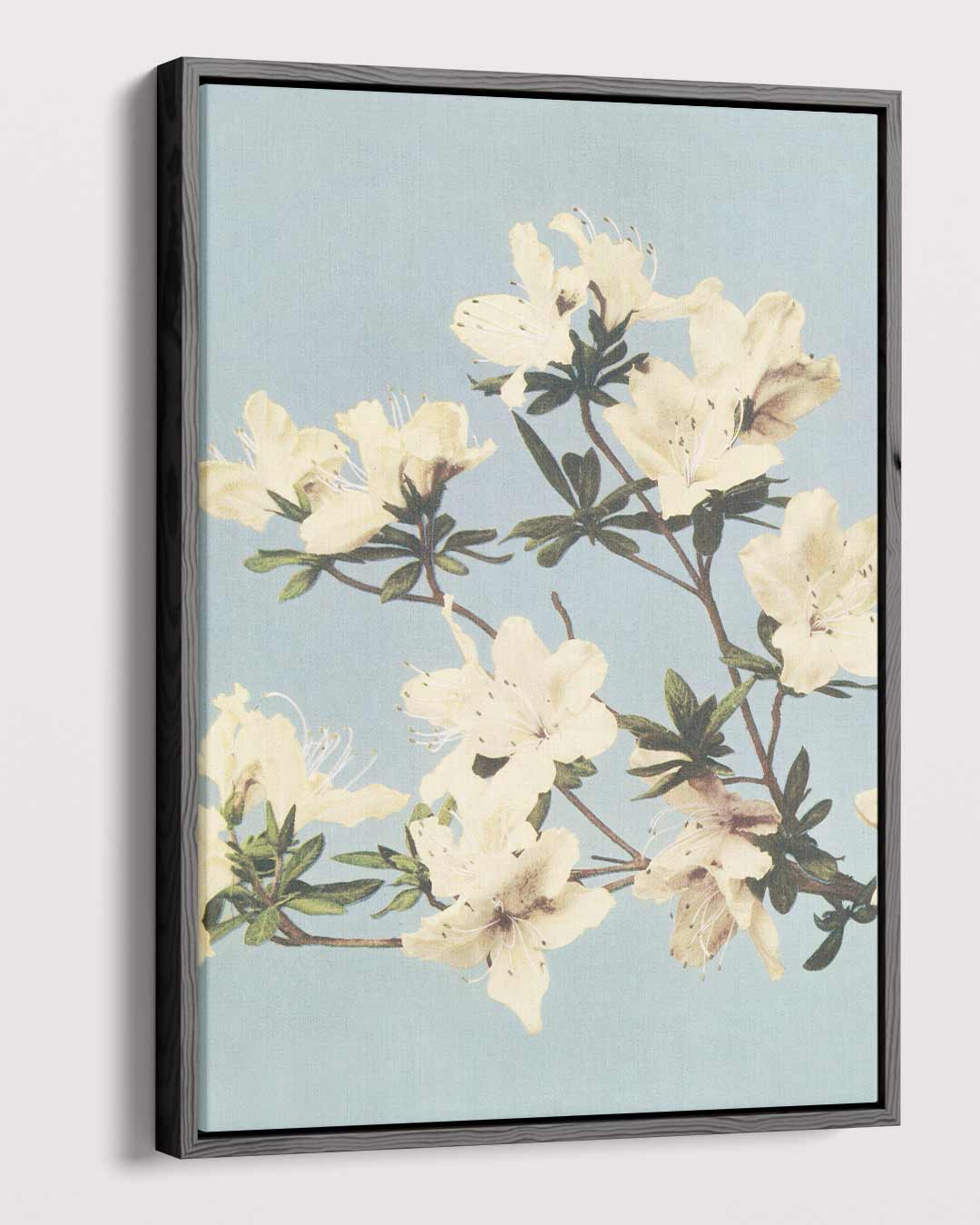 Bloesem in de Lente Kunstwerk-canvas-dibond-plexiglas-wanddecoratie-WallArtistic