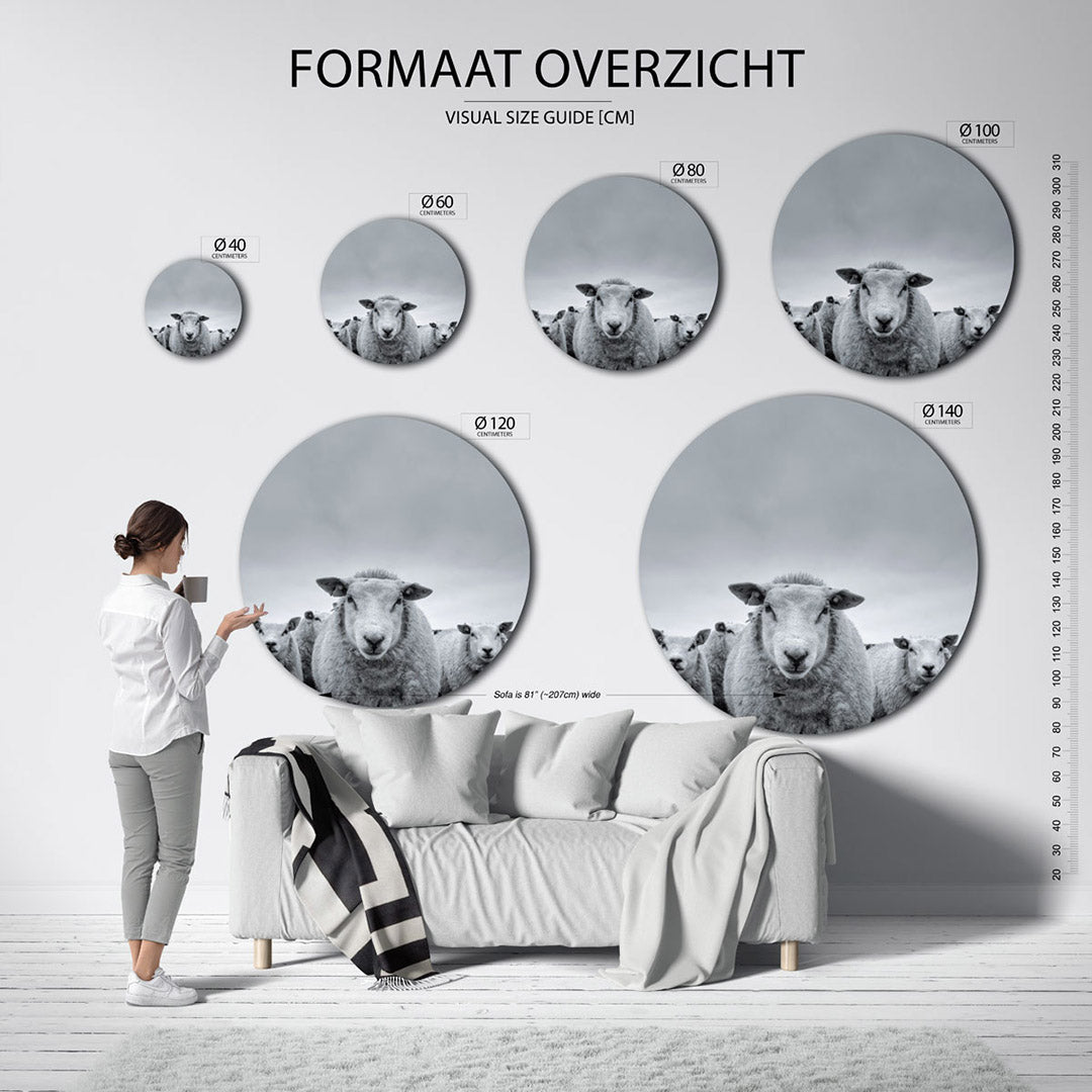 Schapen in zwart wit Muurcirkel