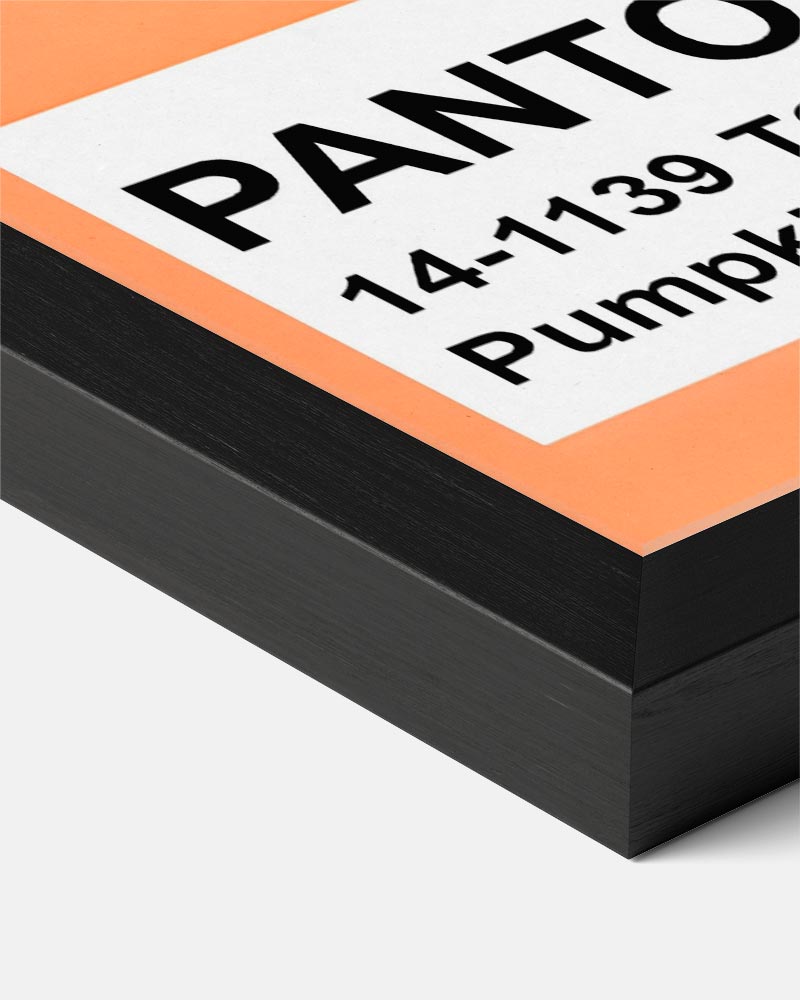 Pantone Stijlvolle Pumpkin Poster