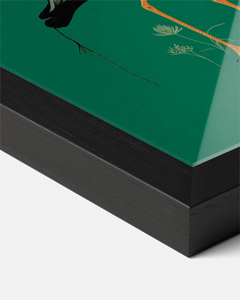 Elegante Kraanvogel op Groene Achtergrond Poster-WallArtistic
