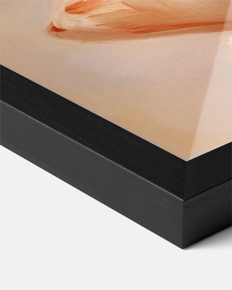 Elegant Schelpkunstwerk Poster-WallArtistic