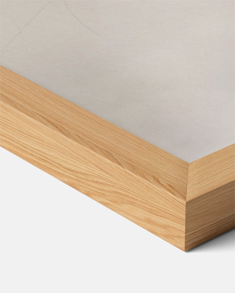 Elegante Bladeren in Zwart-wit Poster-WallArtistic