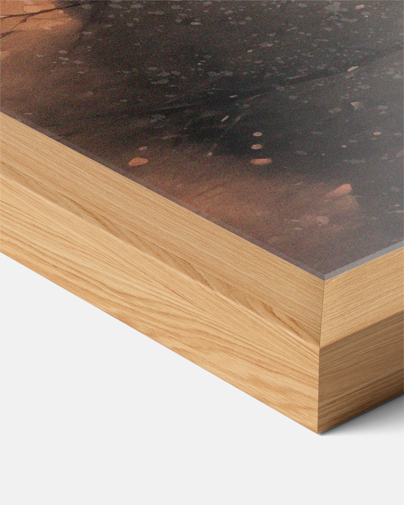 Abstracte Poster-WallArtistic