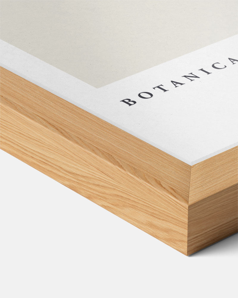 Botanische Bloemillustratie Poster-WallArtistic