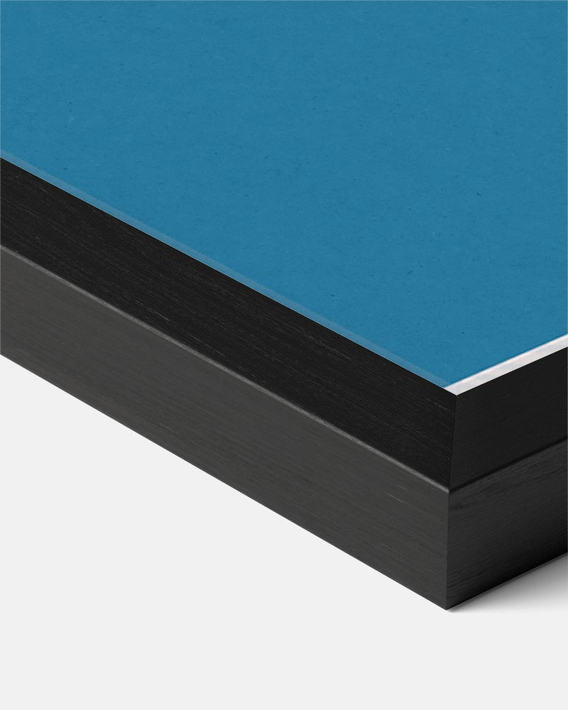 Sushi Liefde Poster-WallArtistic