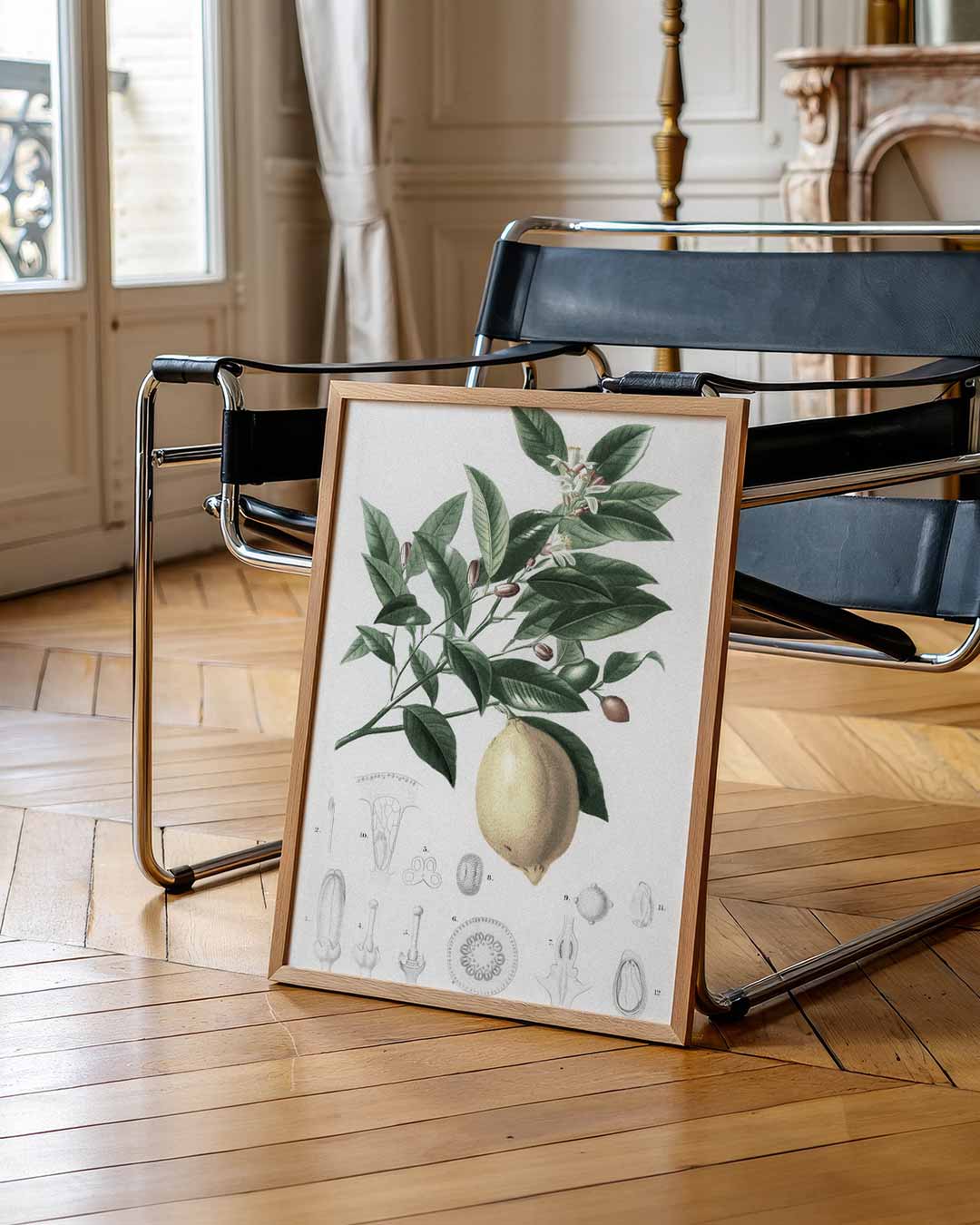Botanische Citroenprint Poster
