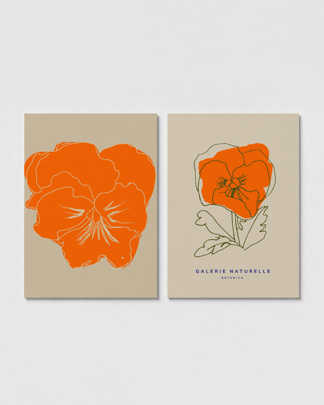 Bloemvormen en lijnen Posterset