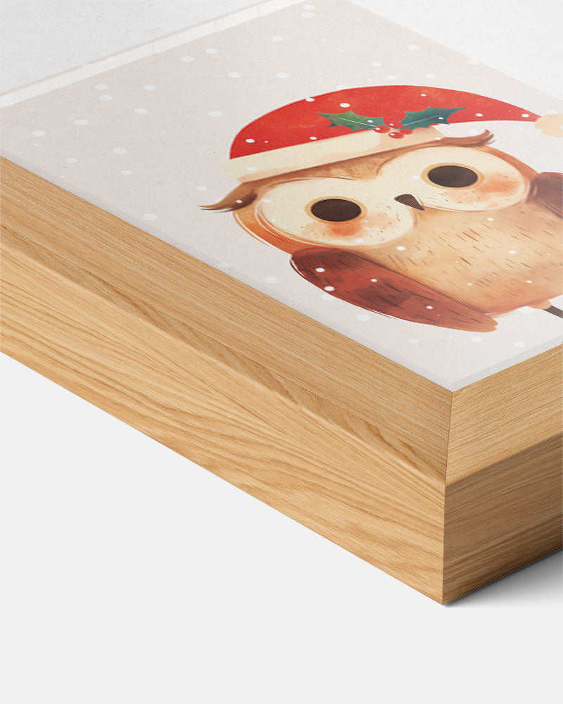 Schattige Uil Kerstposter