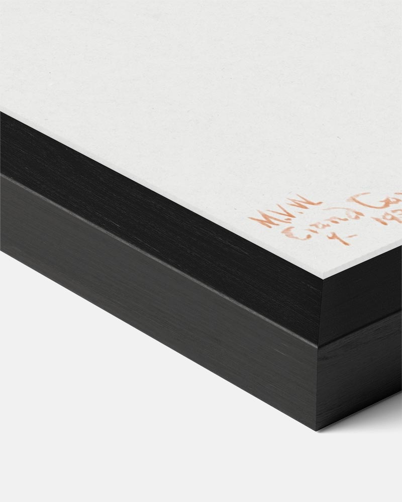 Zonnige Bloemen Illustratie Poster-WallArtistic