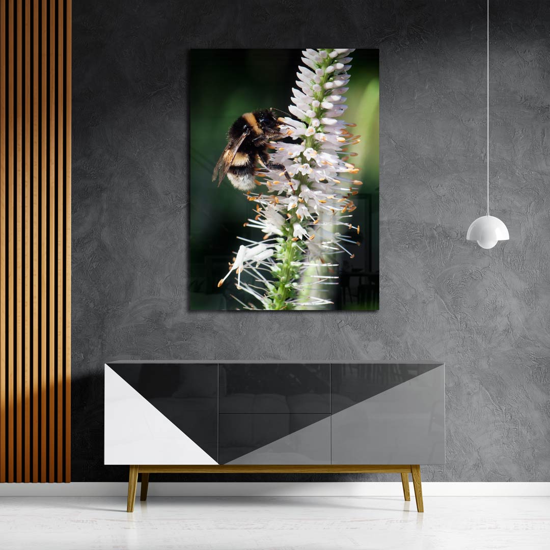 Vrolijke Hommel op Bloem Poster
