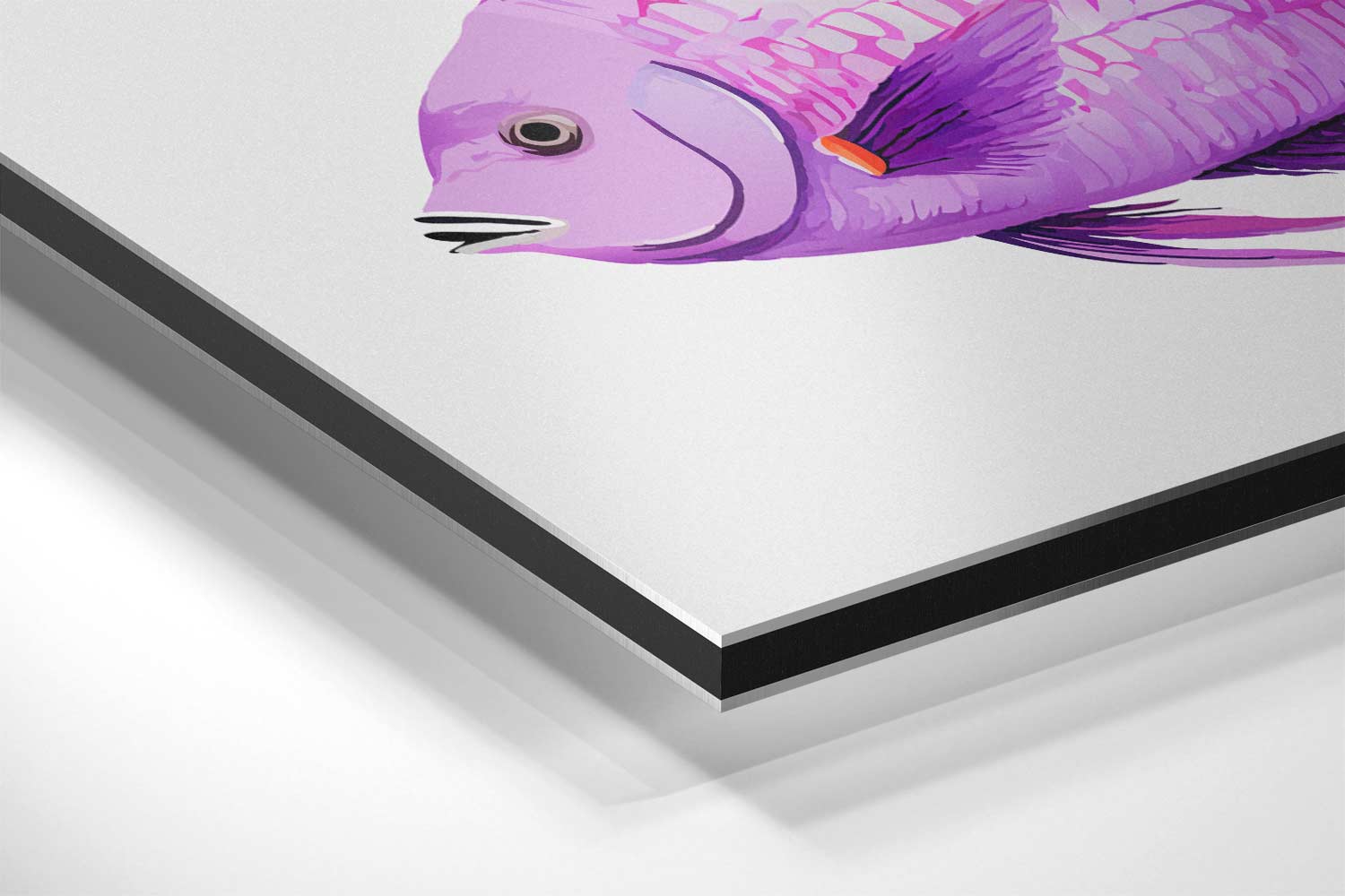 Vrolijke Paarse Vissen Kunstwerk-canvas-dibond-plexiglas-wanddecoratie-WallArtistic