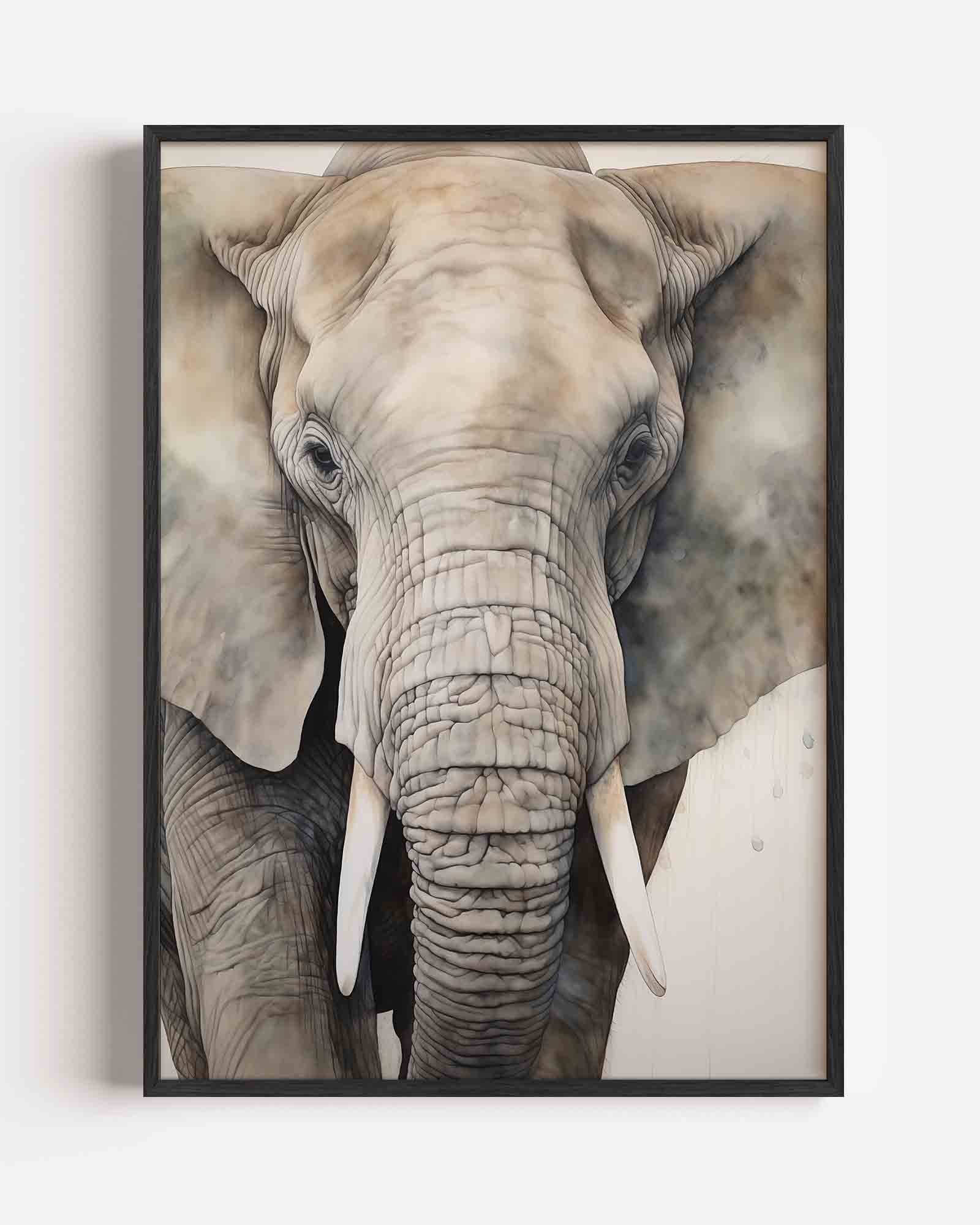 Olifant close up Poster