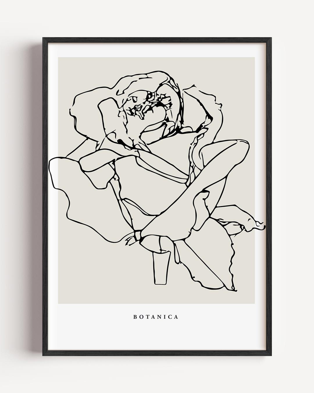 Botanische Bloemenlijntekening Poster-WallArtistic