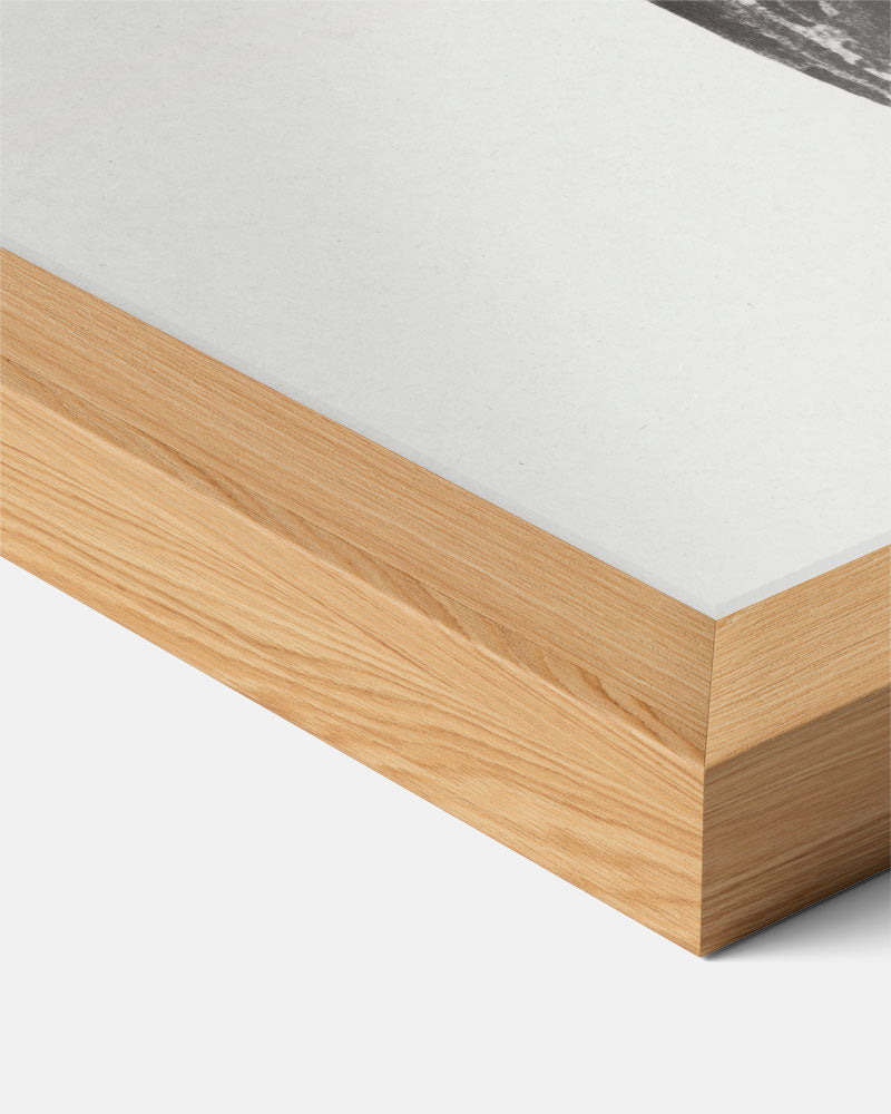 Zwart-witte Bladeren Kunstposter-WallArtistic