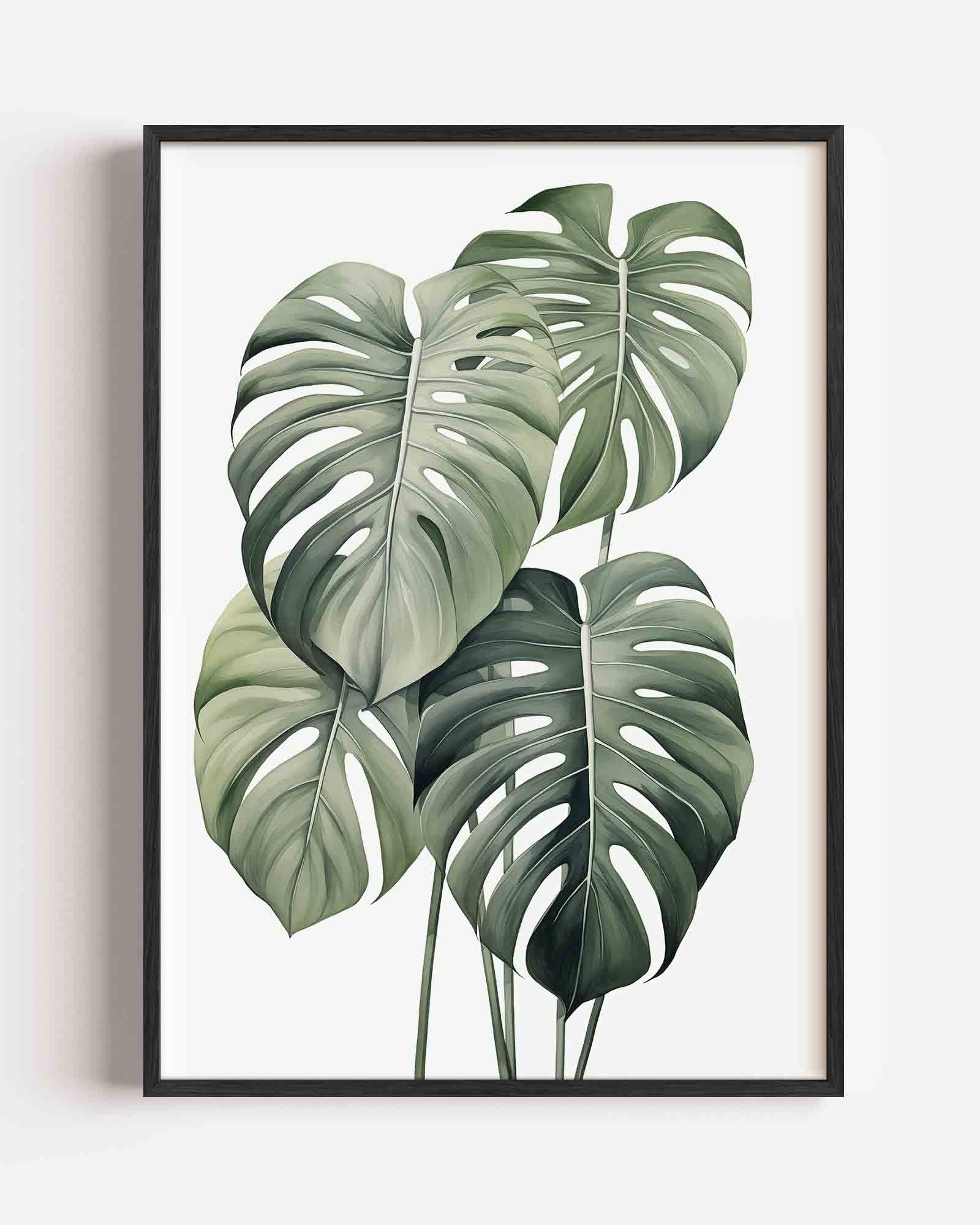 Monstera bladeren Poster