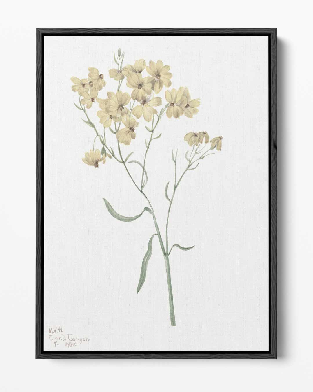 Zachte Bloemenpracht Kunstwerk-canvas-dibond-plexiglas-wanddecoratie-WallArtistic