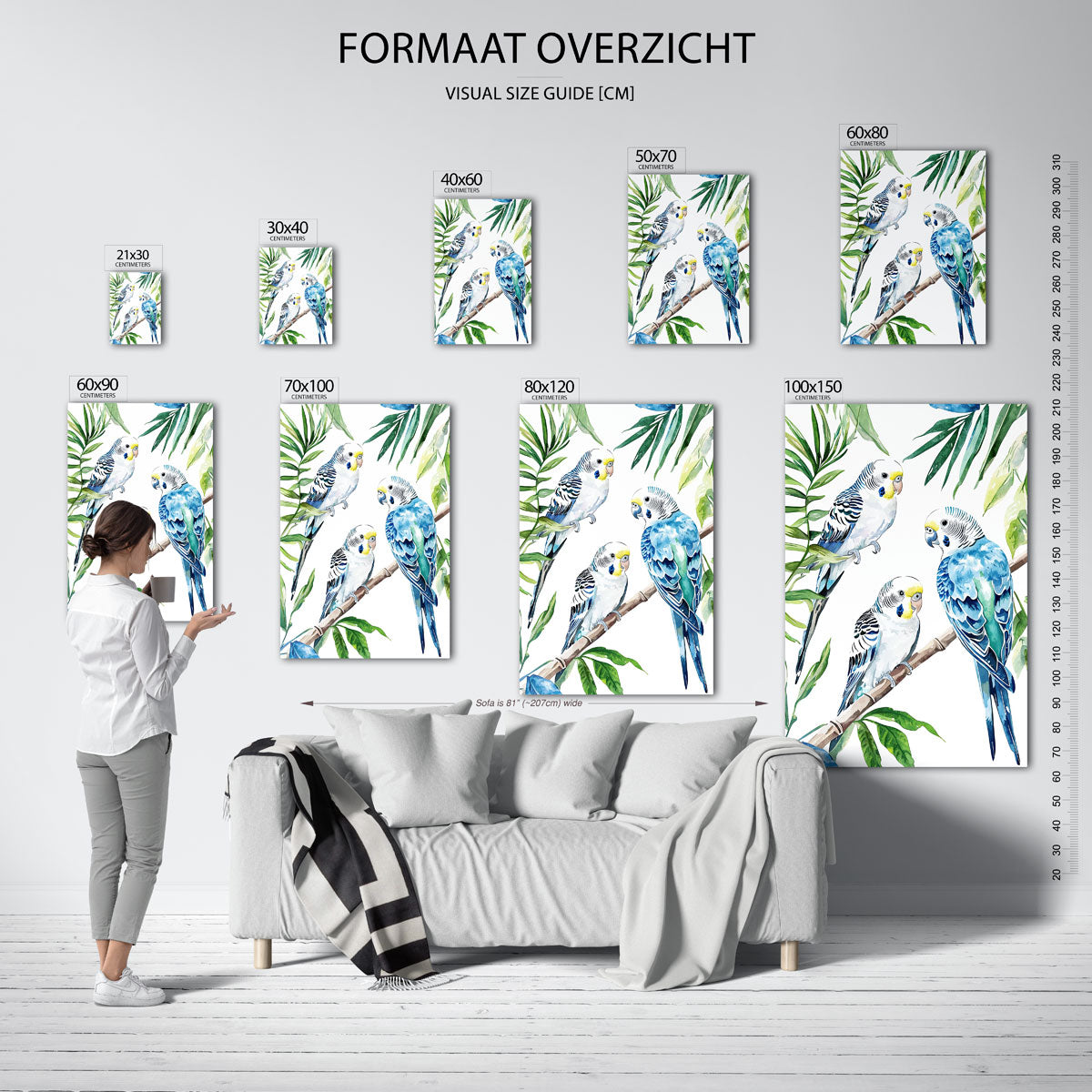 Drie parkieten op tak Poster
