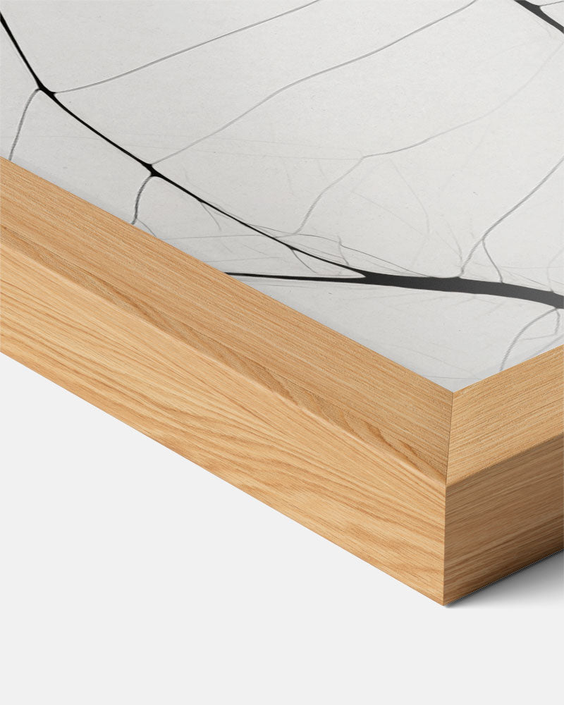 Elegante Zwart-Wit Lijnkunst Poster-WallArtistic