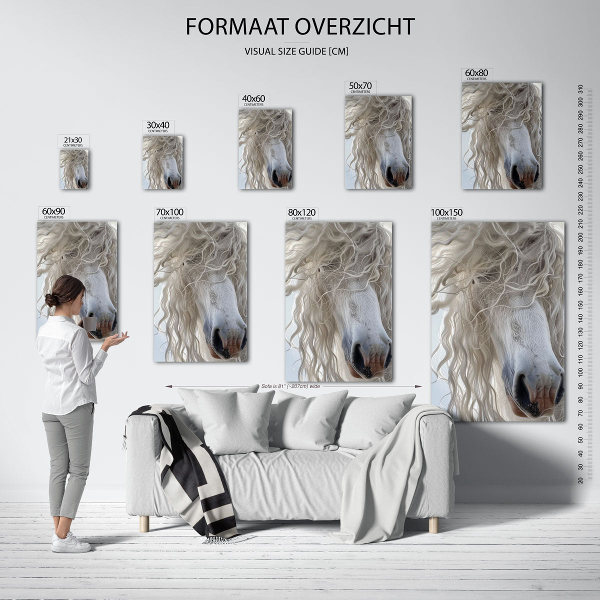 Witte paardenneus Poster