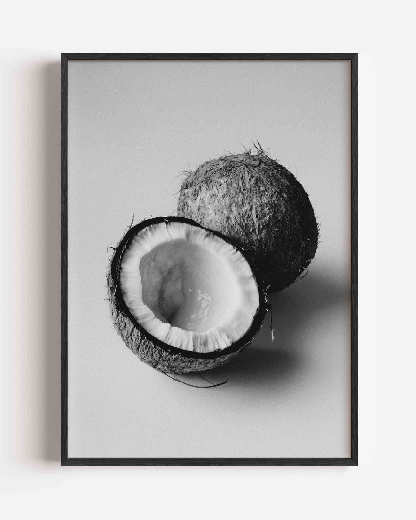 Kokosnoot zwart wit Poster