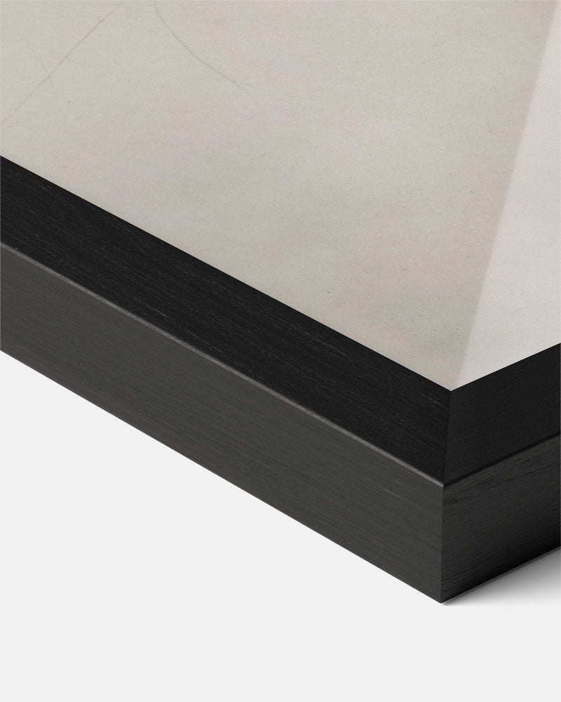 Elegante Bladeren in Zwart-wit Poster-WallArtistic