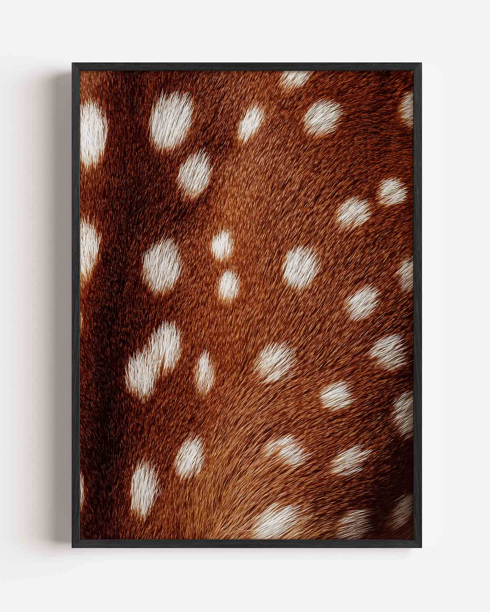 Bruine vacht met witte stippen Poster
