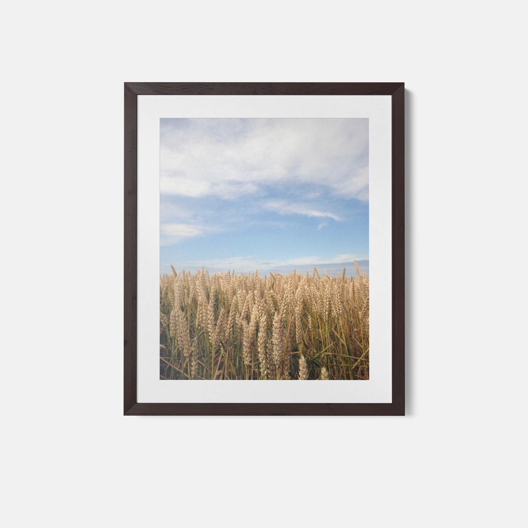 Rustiek Graanveld Poster