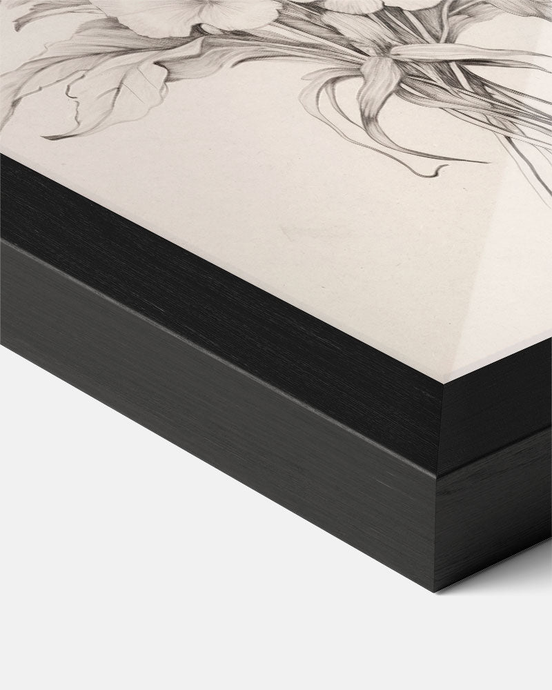 Zwart-wit Bloemenpracht Poster-WallArtistic