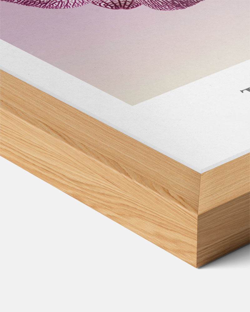 Bloemen van Contrasten Poster-WallArtistic