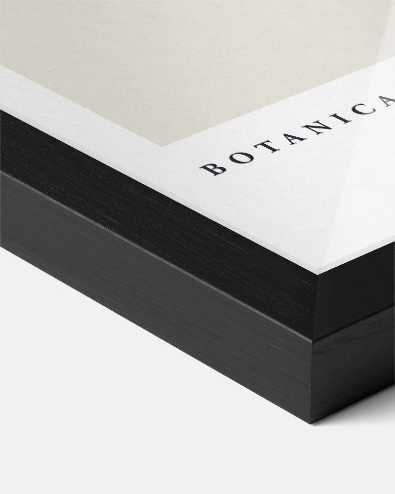 Botanica Elegante Bloemenposter-WallArtistic