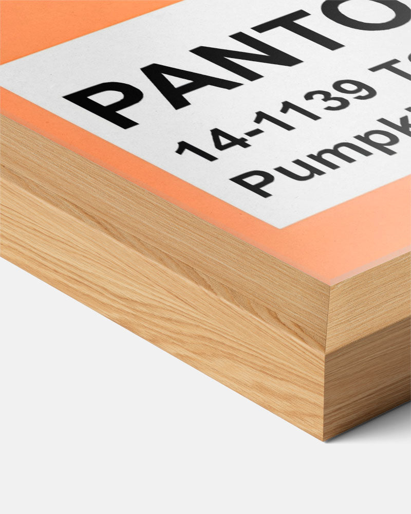 Pantone Stijlvolle Pumpkin Poster