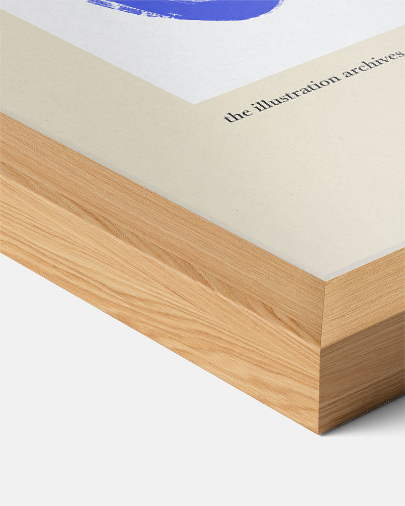 Moderne Bloemillustratie Poster-WallArtistic