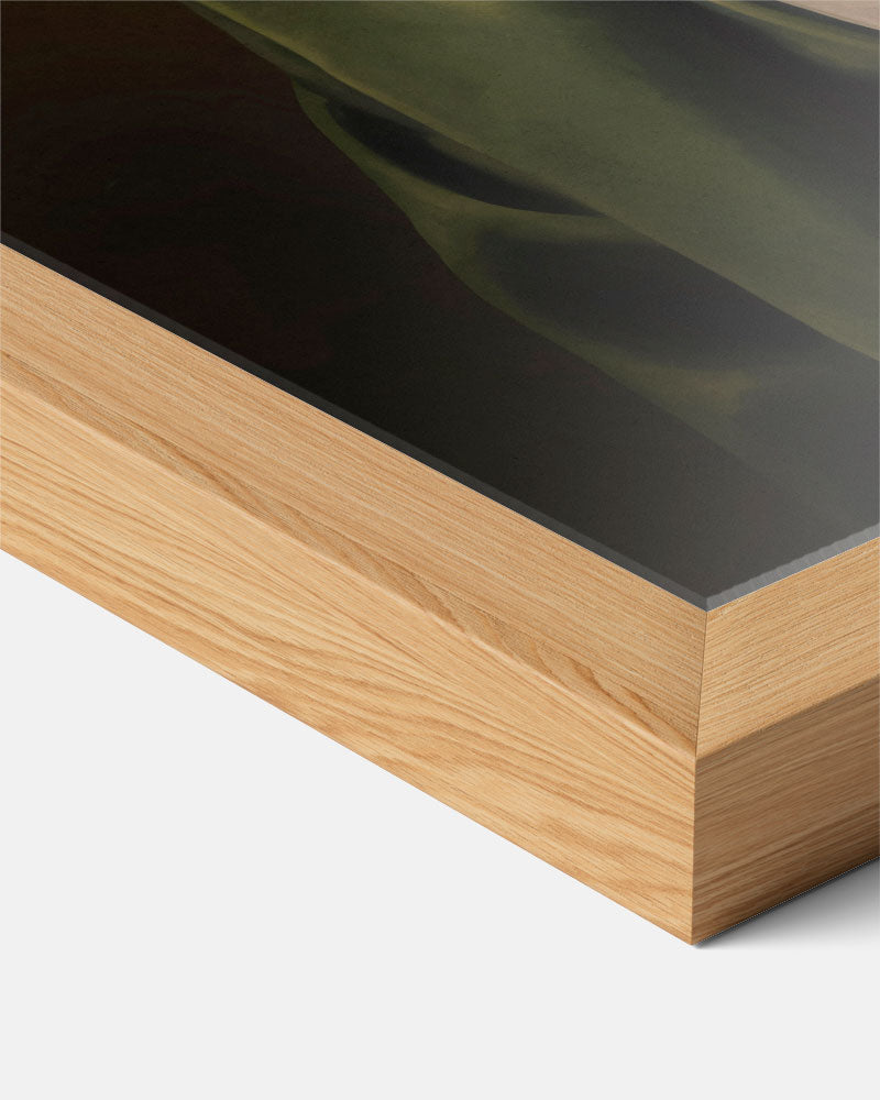 Stijlvolle Hondenportret Poster-WallArtistic