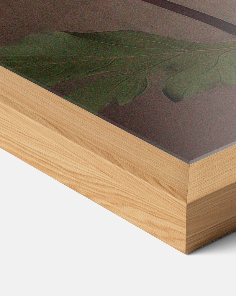 Abstracte Poster-WallArtistic