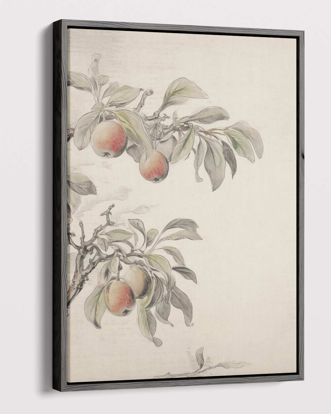 Tak met Appels Kunstwerk-canvas-dibond-plexiglas-wanddecoratie-WallArtistic