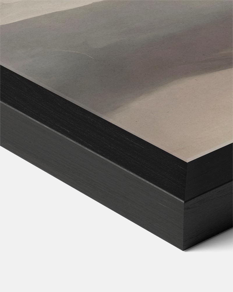 Elegantie van de Ballerina Poster