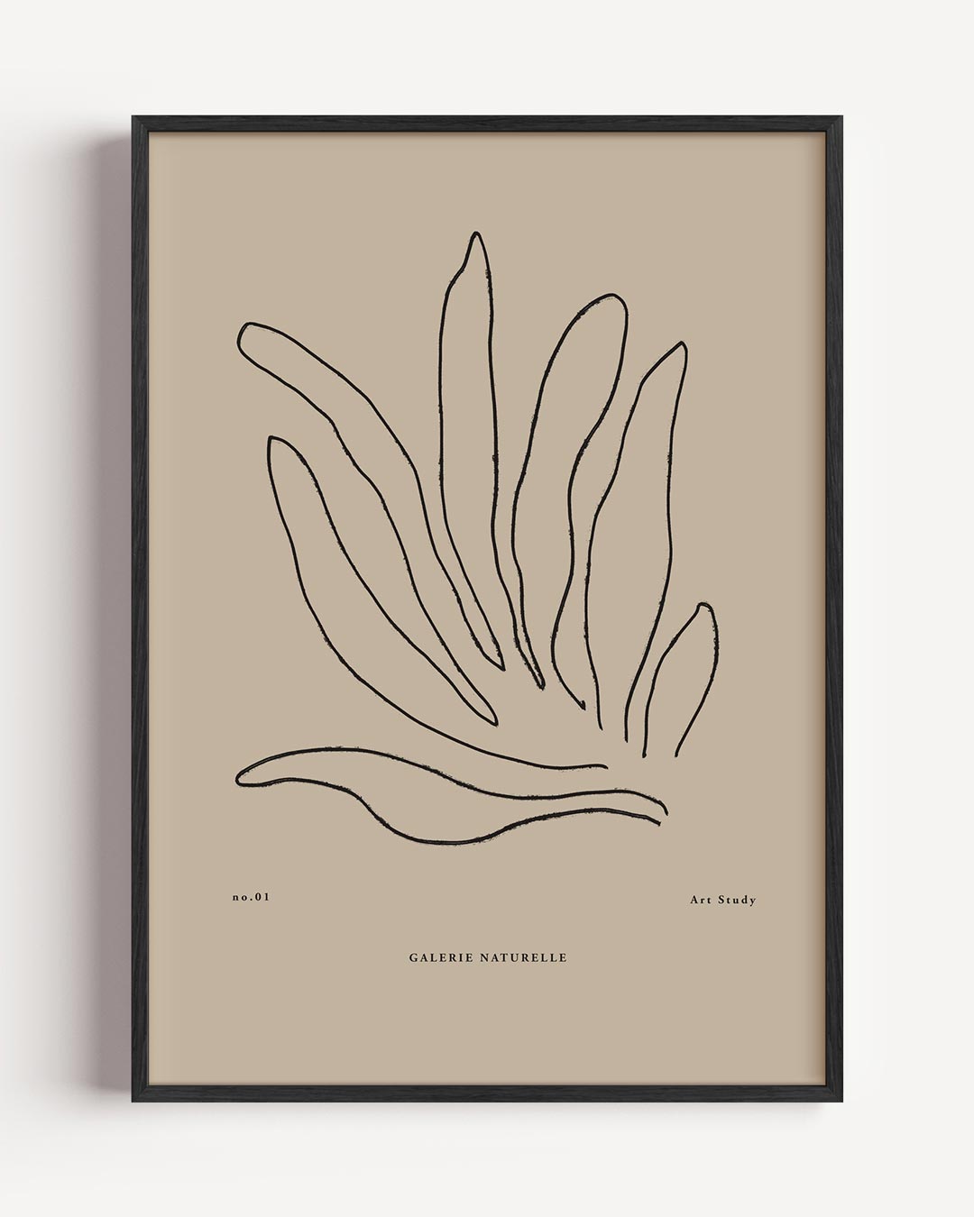 Botanische Lijntekening Poster-WallArtistic