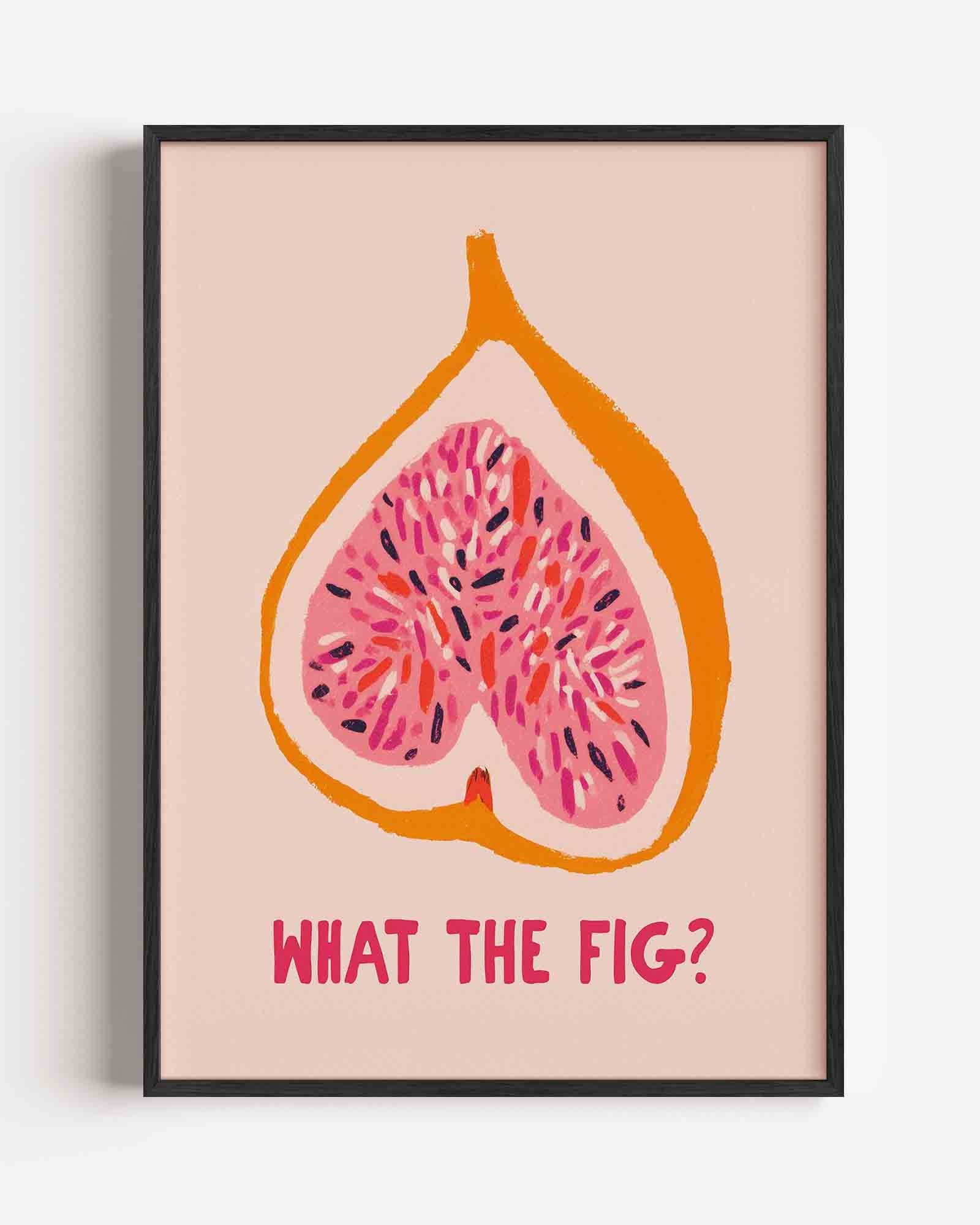Vijg illustratie Poster