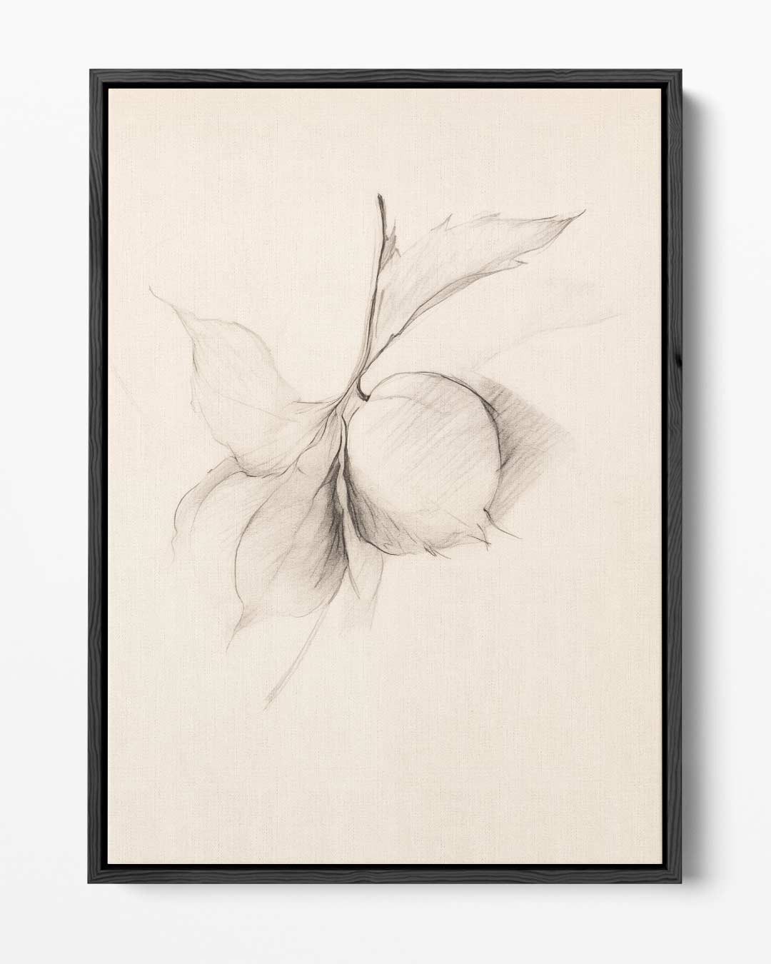 Minimalistische Potloodtekening van Blad en Vrucht Kunstwerk-canvas-dibond-plexiglas-wanddecoratie-WallArtistic