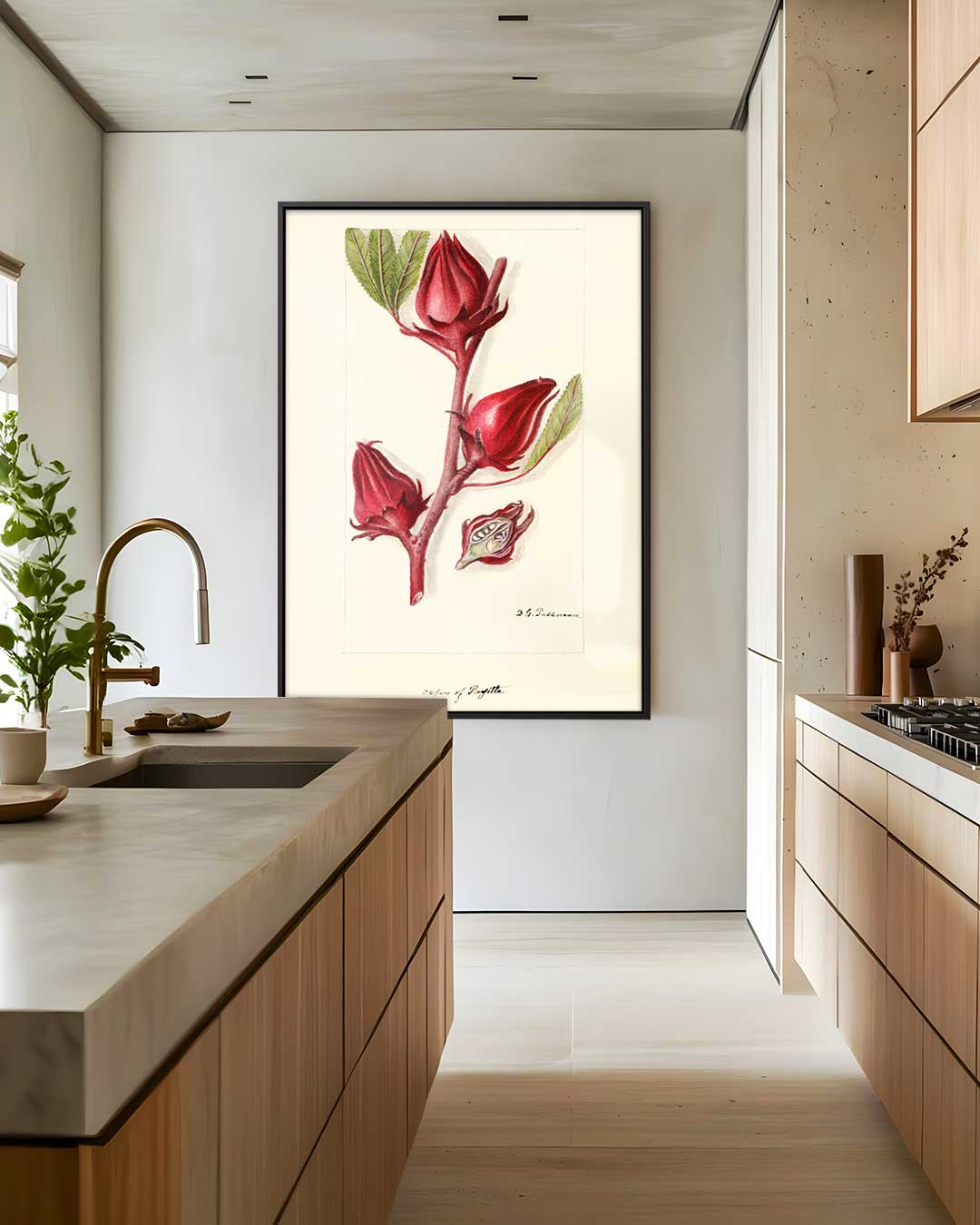 Botanische Rozelle Illustratie Kunstwerk-canvas-dibond-plexiglas-wanddecoratie-WallArtistic
