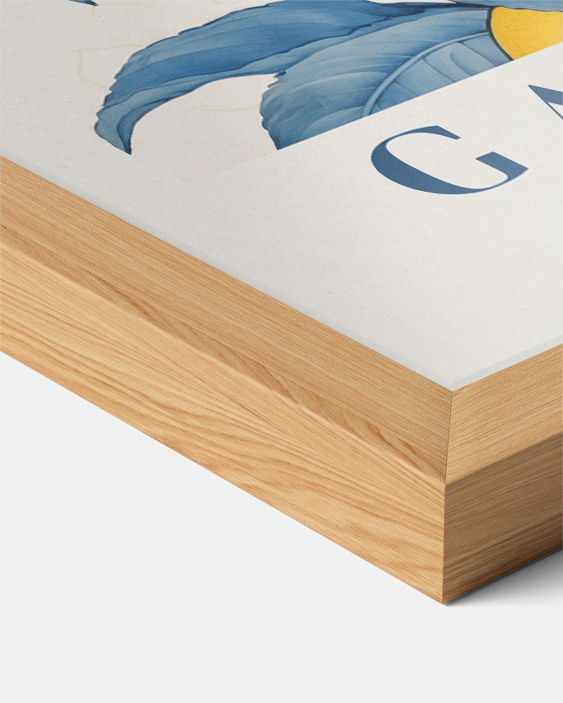 Botanische Tuin van Rome Poster-WallArtistic