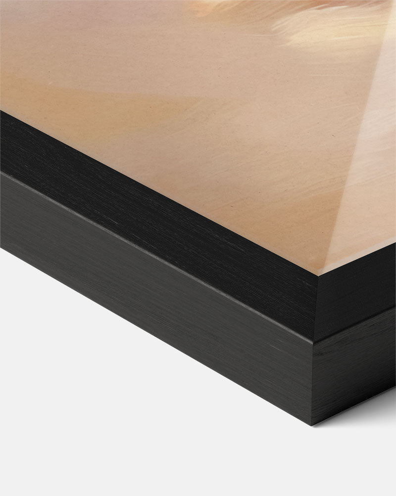 Zomers Schilderszeeschelp Poster-WallArtistic