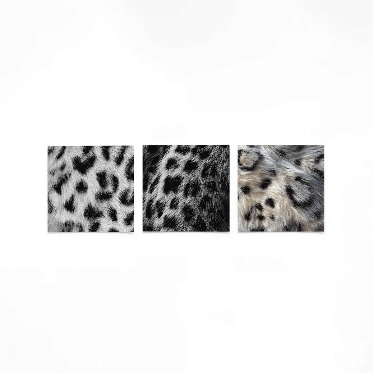 Drie vierkante posters met zwart wit dierenvacht op een gebroken witte achtergrond