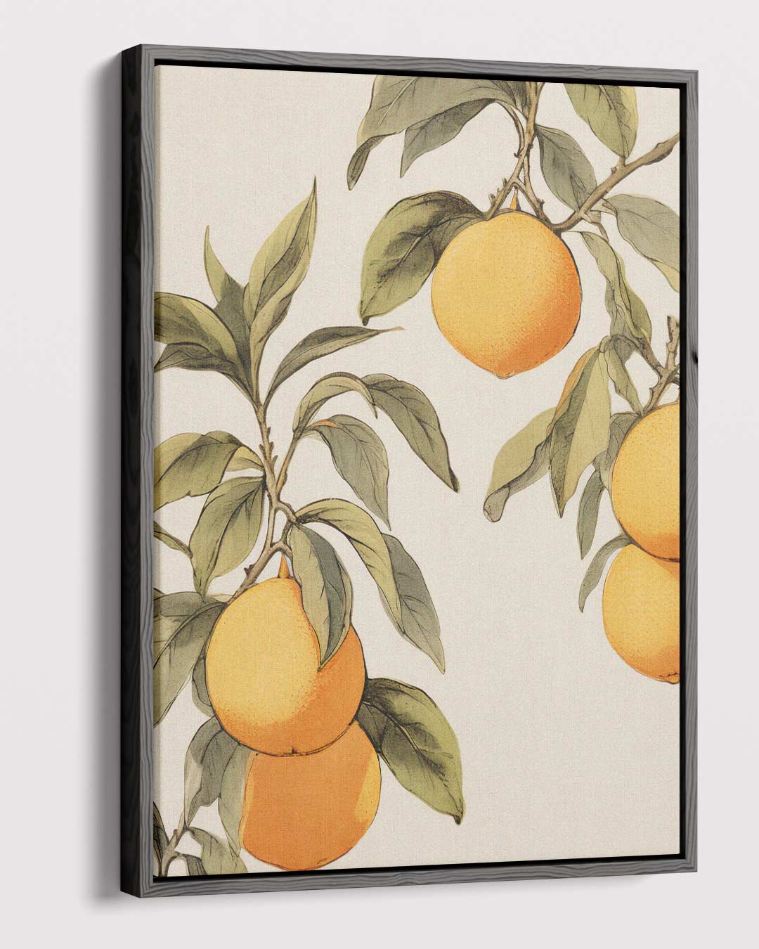 Citroenboom Illustratie Kunstwerk-canvas-dibond-plexiglas-wanddecoratie-WallArtistic