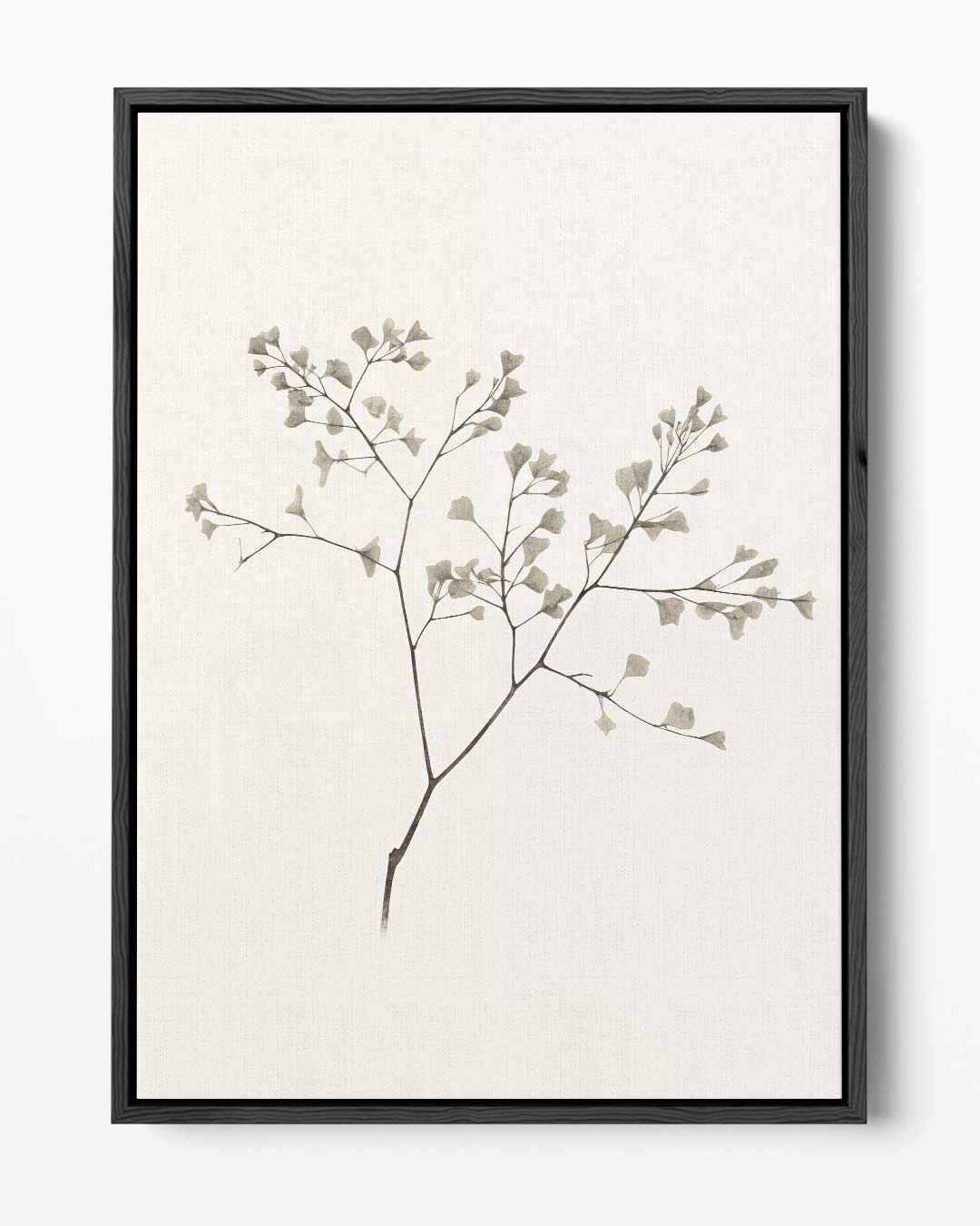 Minimalistische Botanische Schets Kunstwerk-canvas-dibond-plexiglas-wanddecoratie-WallArtistic